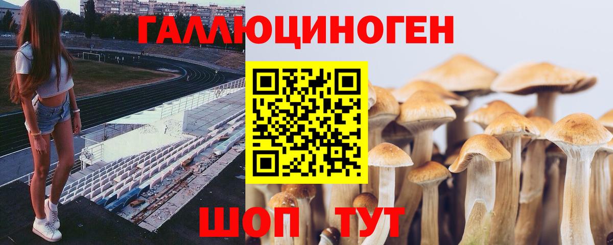 Смоленск  Псилоцибиновые грибы мицелий  Вход с VPN 